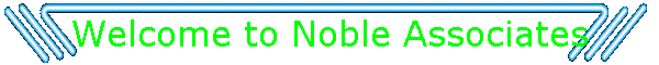 Welcome to Noble Associates