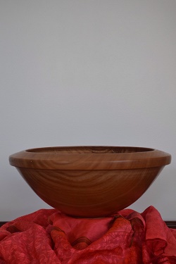 Ficus bowl